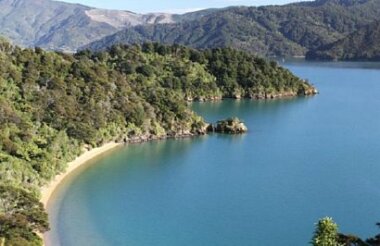 Full Day Guided Walk in Queen Charlotte Sound with Wilderness Guides