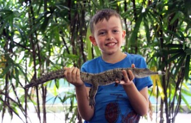 Wildlife Habitat, Port Douglas - General Admission