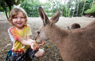 Wildlife Habitat, Port Douglas - General Admission