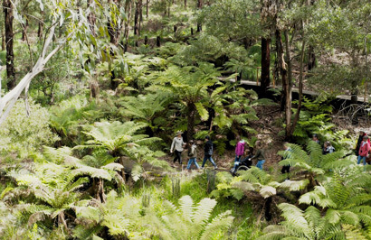 The Great Southern Ocean Vacation - Day 9