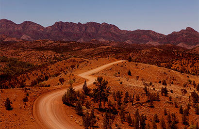 SA Eco Tours: Kati Thanda-Lake Eyre Flight & Flinders Ranges Small Group Eco Tour - Day 4