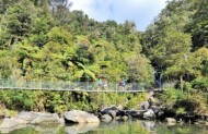 Swinge Bridge, Bush & Beach with Wilsons Abel Tasman