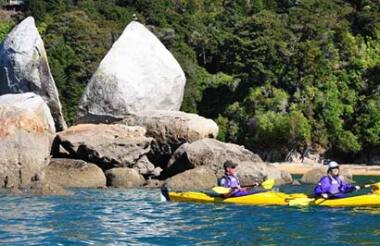 Beaches, Bays and Seals Guided Sea Kayaking Trip Including Picnic Lunch