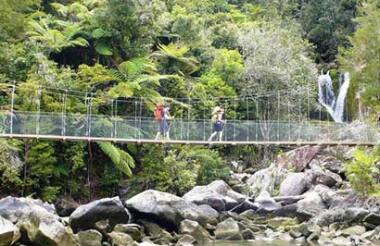 Abel Tasman National Park Cruise & Walk Open Day Pass