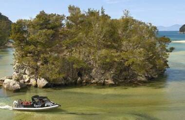 Abel Tasman National Park Cruise & Walk Open Day Pass