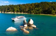 Cruise to Golden Bay Day Tour with Wine, Art & Wilderness - Includes Lunch