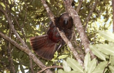 Nelson Lakes Discovery Day Tour with Wine, Art & Wilderness - Includes Lunch