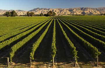 Great Journeys of New Zealand - Signature Captivating Coast Tour 2026/2027 - Day 3