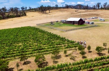 Long Lunch Tour with Long Lunch Wine Tour Co