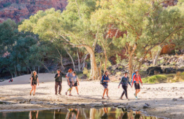 Australian Walking Holidays: Classic Larapinta Trek in Comfort - Day 1