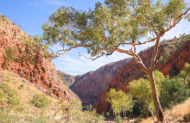 Discover everything New Zealand has to offer with these great vacation packages