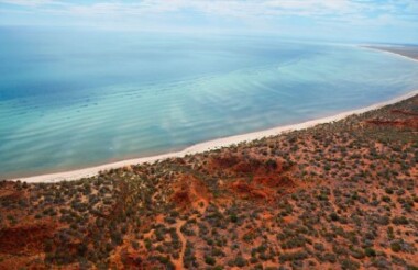 Stromatolites 4WD Tour with Wula Gura Nyinda Eco Cultural Adventures - Includes Lunch