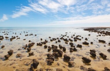 Stromatolites 4WD Tour with Wula Gura Nyinda Eco Cultural Adventures - Includes Lunch