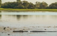 Yellow Water Cruise with Kakadu Tourism