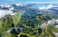 Zealandia By Night Wildlife Sanctuary Tour