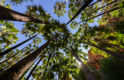 Outback Spirit - Jewels of the Kimberley & Faraway Bay - Day 8