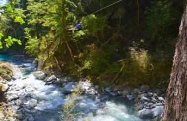 Paradise Zipline Tour