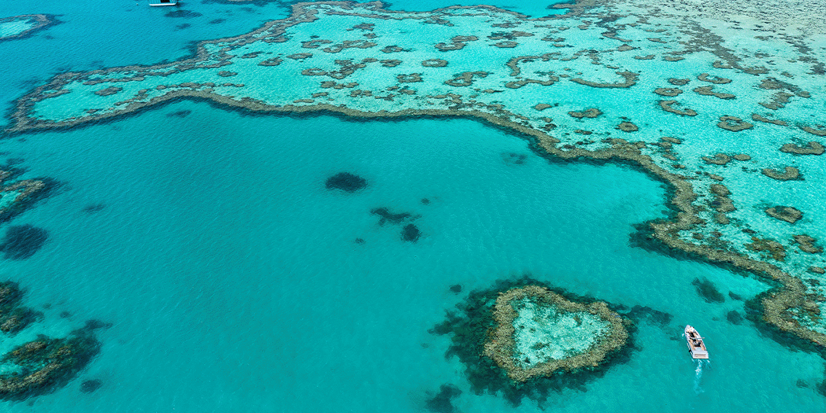 Heart Shaped Reef, Queensland