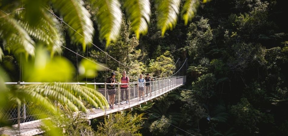 Abel Tasman National Park