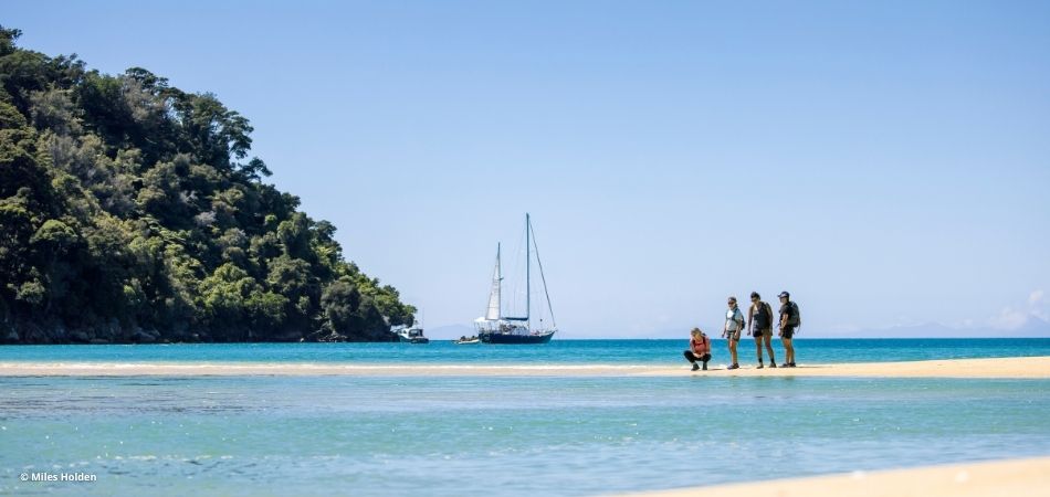 Abel Tasman National Park