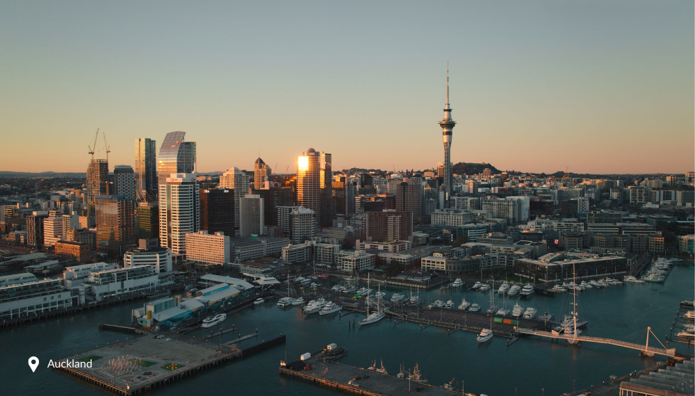 Auckland City Sky Tower and Harbour Landscape