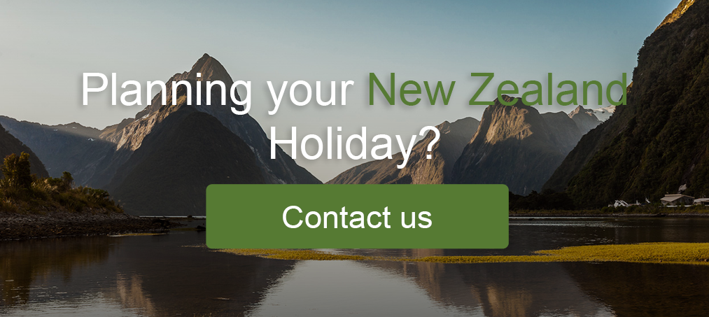 Contact our team of New Zealand Travel Experts