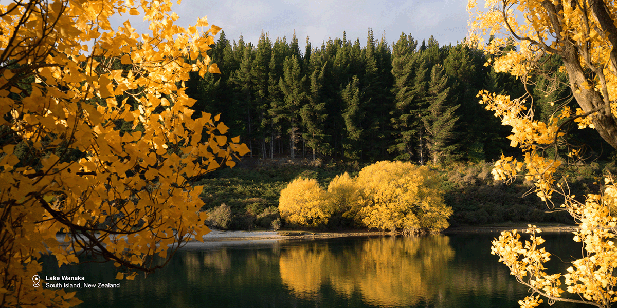 Lake Wanaka