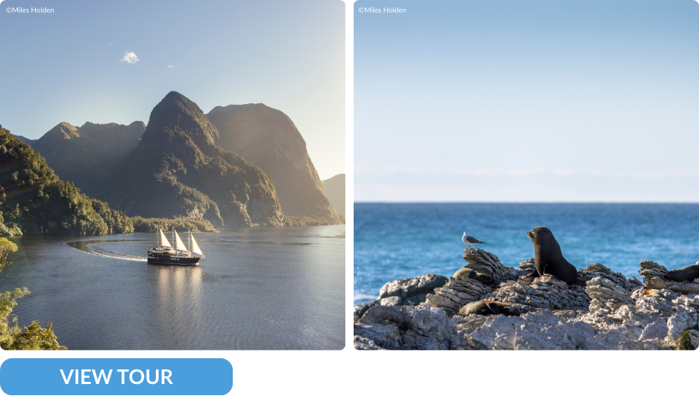 New Zealand tour with G adventures including doubtful sound and kaikoura