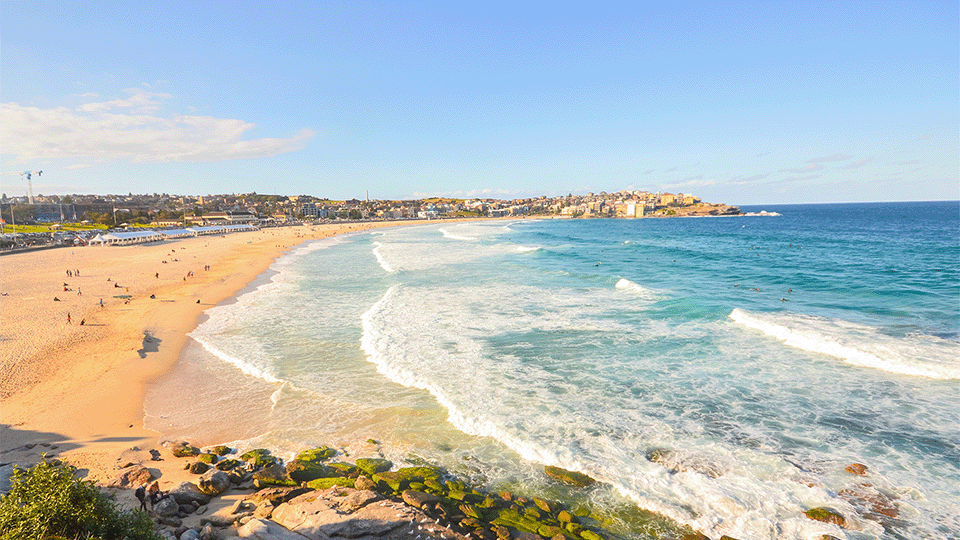 Bondi Beach, Sydney New South Wales