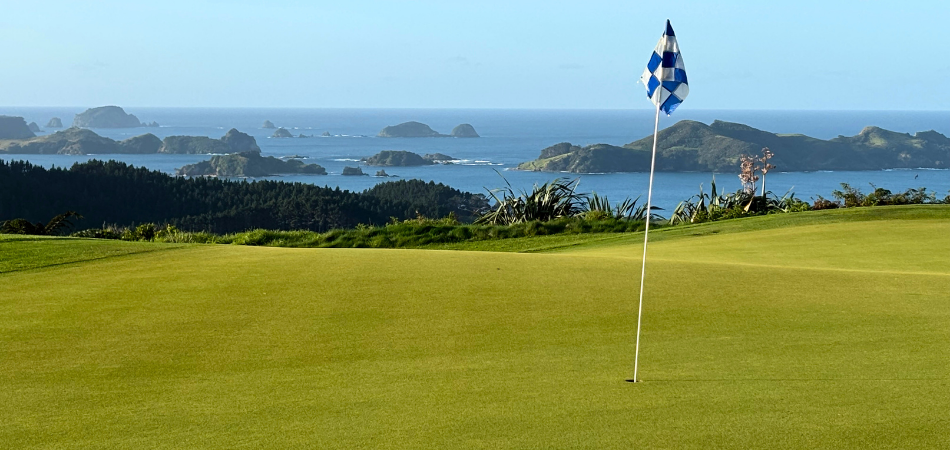 Kauri Cliffs View