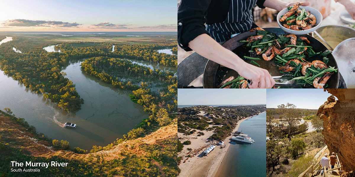 The Murray River, South Australia