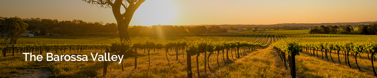 Barossa Valley | South Australia Country Region