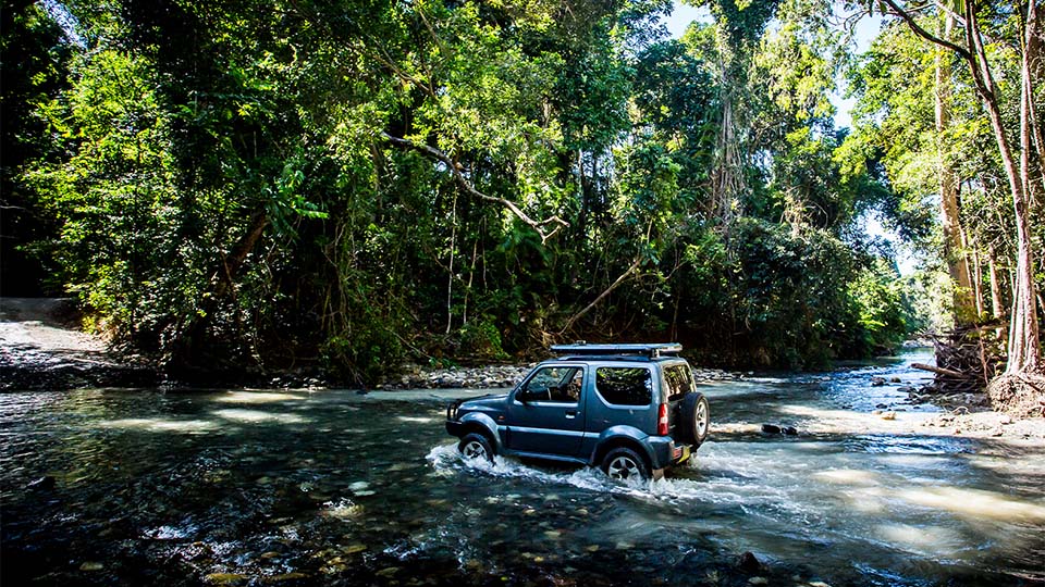 Daintree National Park