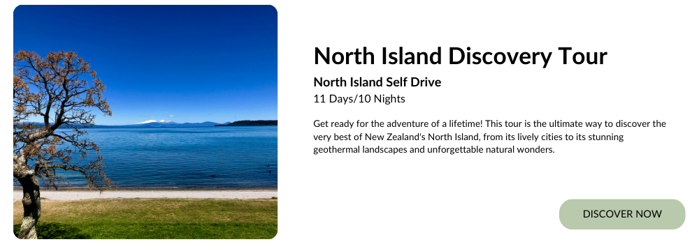 North Island Discovery Tour