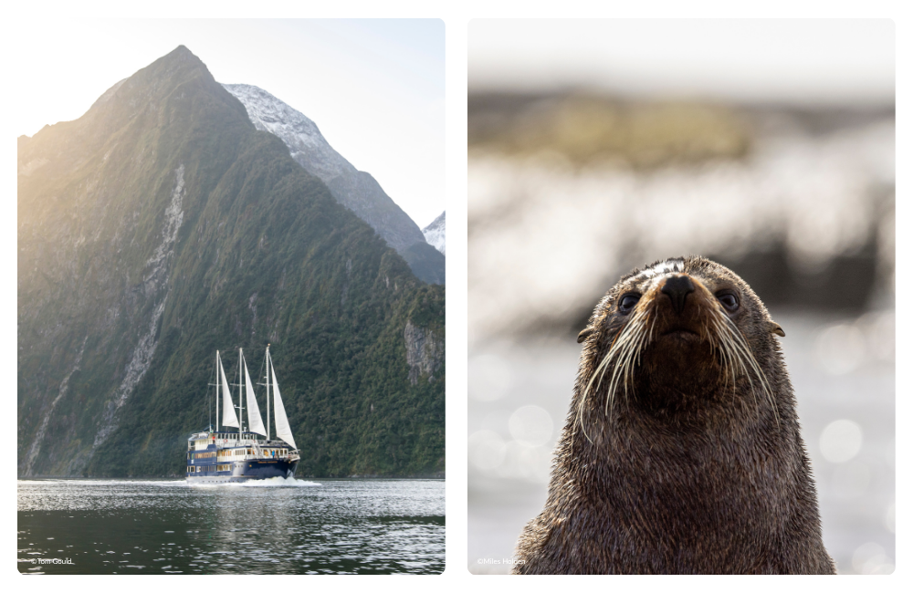 G Adventures - Solo-ish New Zealand