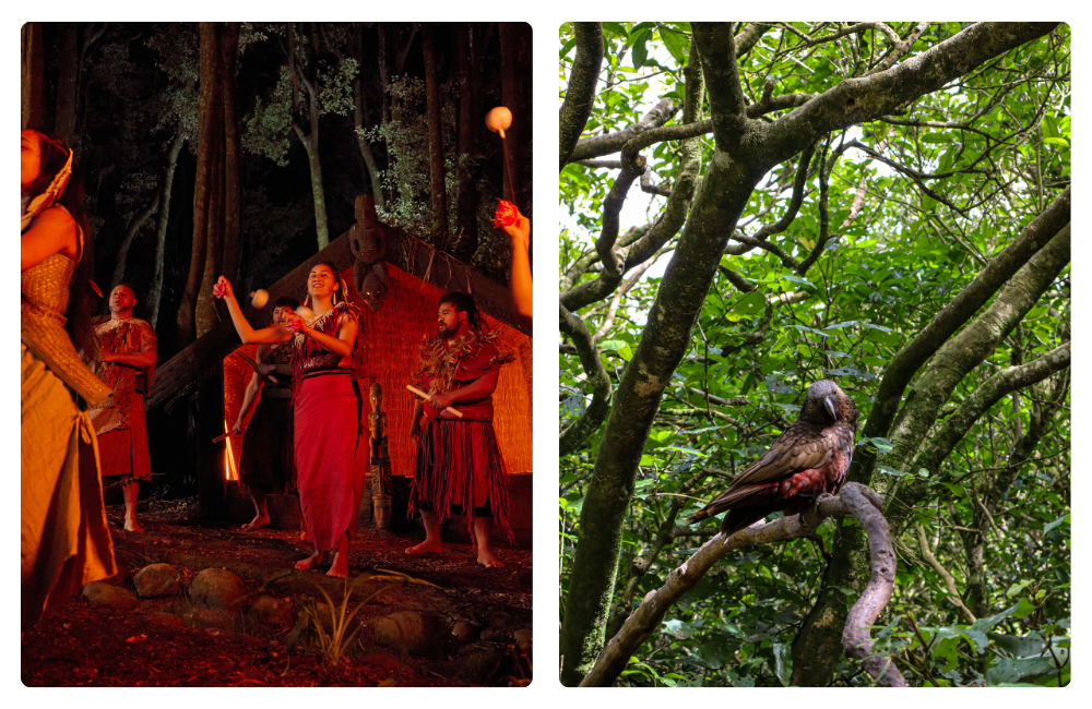 AAT Kings: Iconic North 26/27