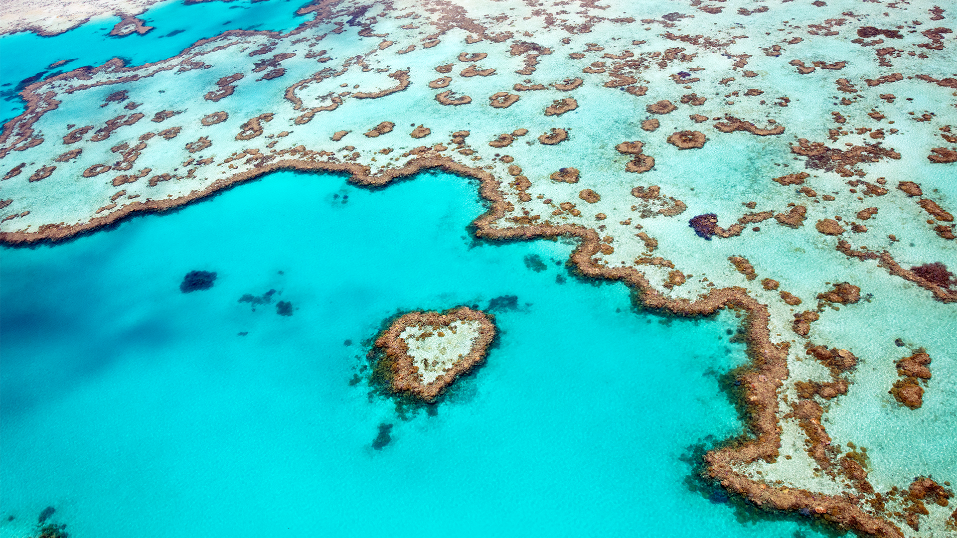 Heart-shaped Reef