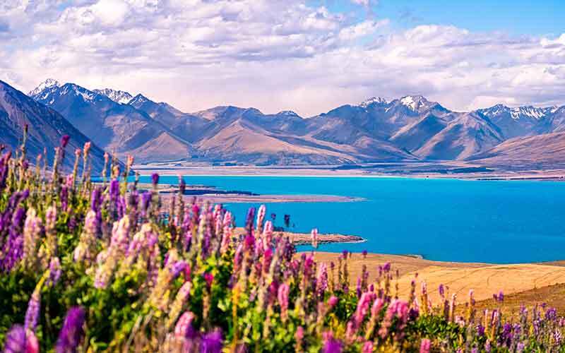 Enjoy the spectacular scenery at Lake Tekapo Lake Tekapo, New Zealand