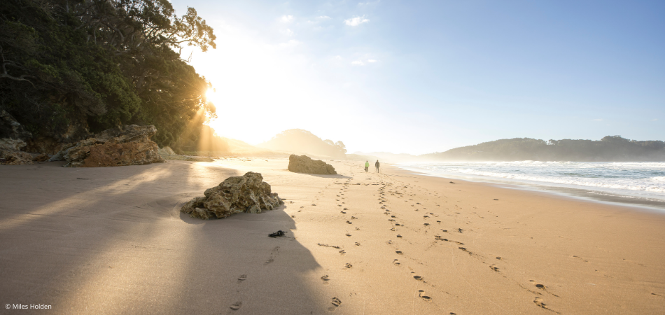 Hot Water Beach