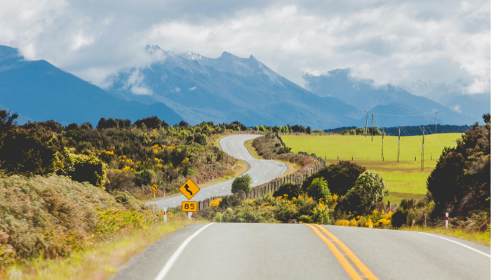 New Zealand driving winding roads