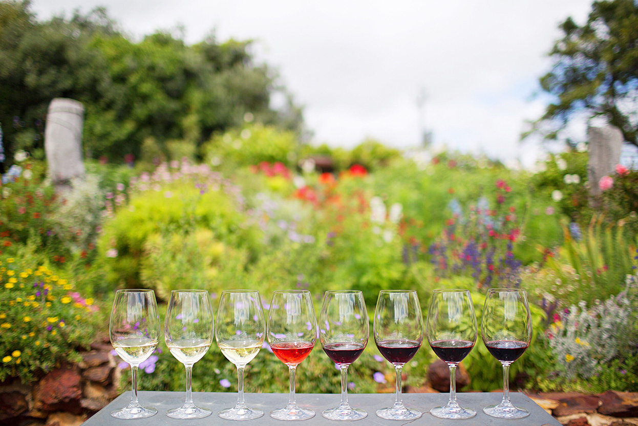 A wine tasting experience on the Indian Pacific Train Journey
