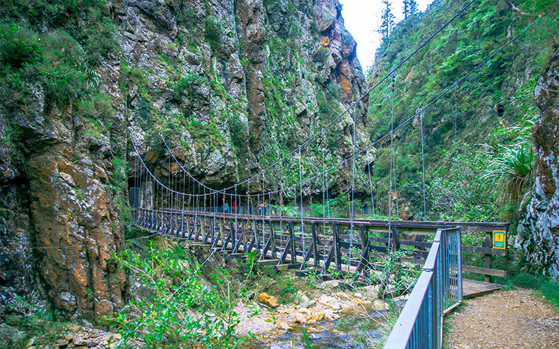Karangahake gorge