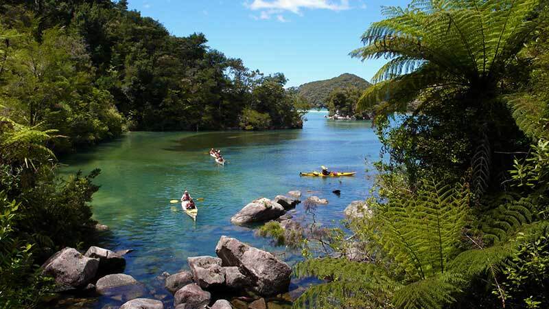 Discover the Abel Tasman coast by kayak Explore the Abel Tasman with Wilsons Abel Tasman
