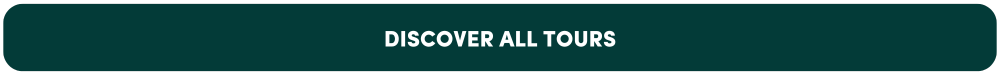 Discover All Tours