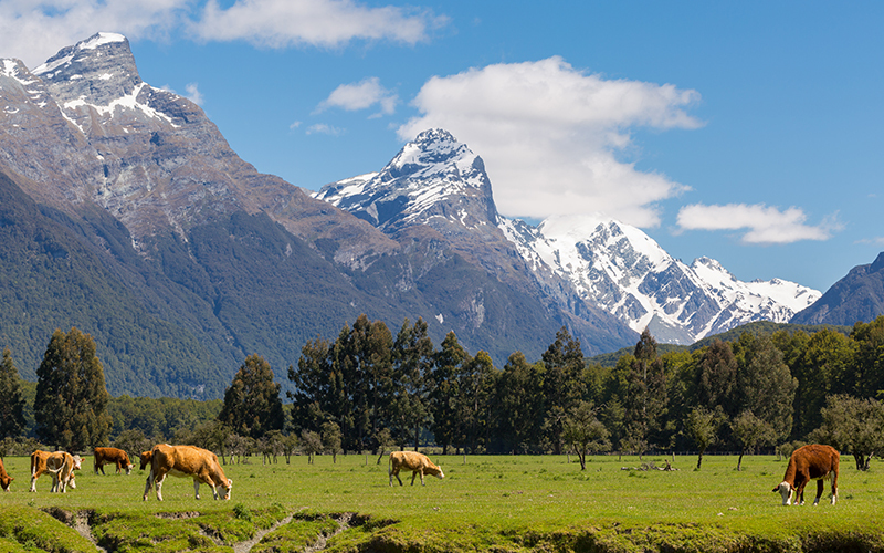 Isengard - Paradise, Glenorchy