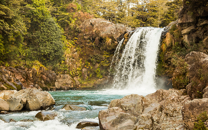 Gollum's fish catching scene - Tawhai Falls, Manawatu