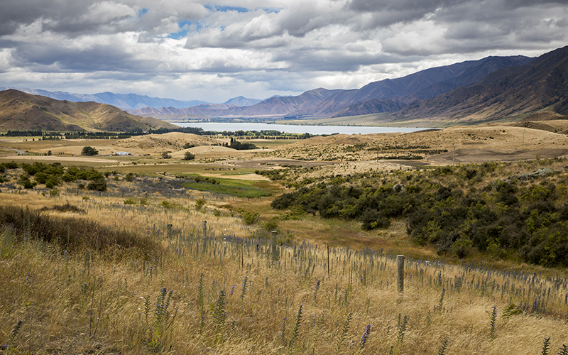 Location for the big battle scene - Twizel, Mackenzie Country