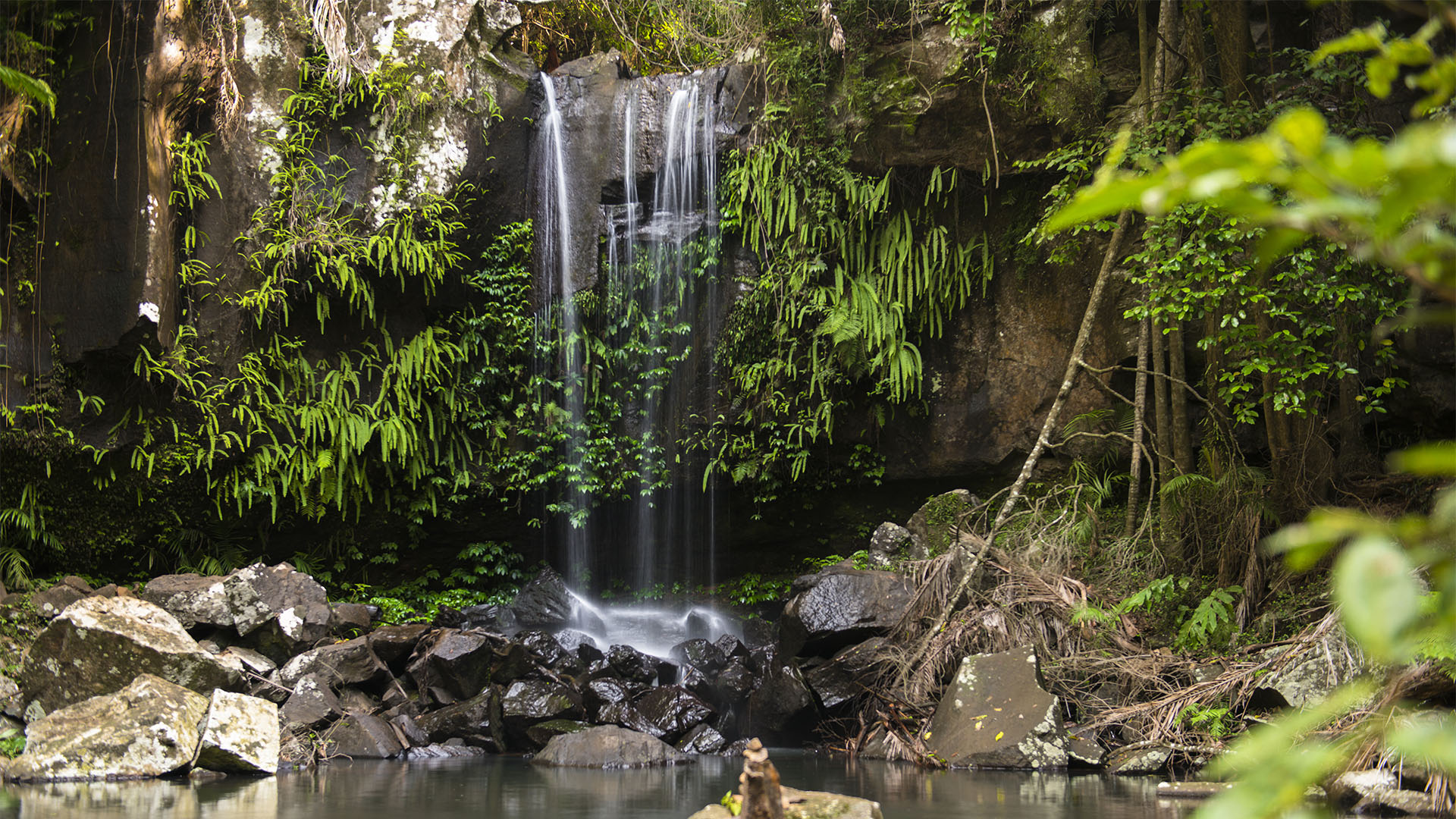 Tamborine Mountain