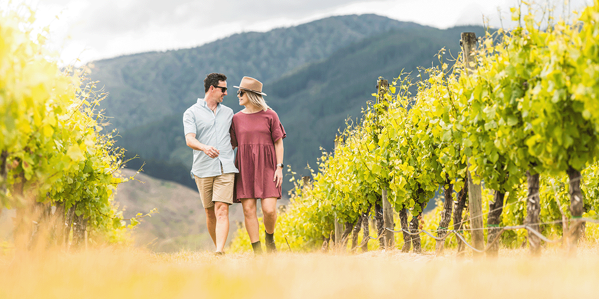 Marlborough Private Wine Tours