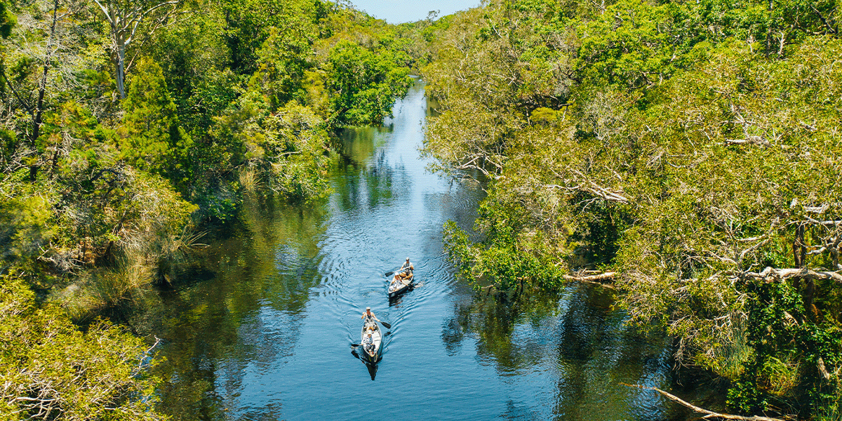 Noosa Everglades